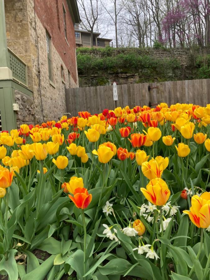 Abe'S Spring Street Guest House Galena Exterior photo
